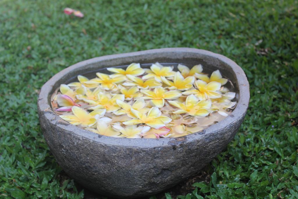 Odah Ayu Guest House Ubud Exteriér fotografie